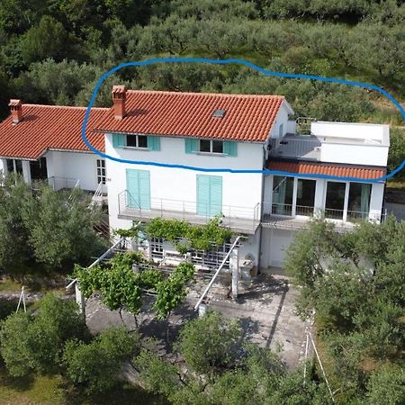 안카란 House Among Olive Trees With A Sea View 1 아파트 외부 사진