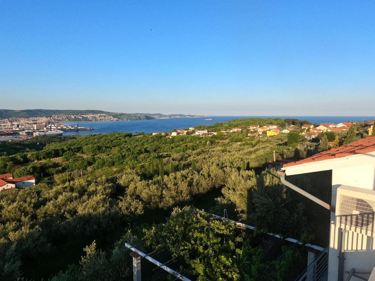 안카란 House Among Olive Trees With A Sea View 1 아파트 외부 사진