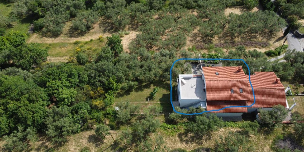 안카란 House Among Olive Trees With A Sea View 1 아파트 외부 사진