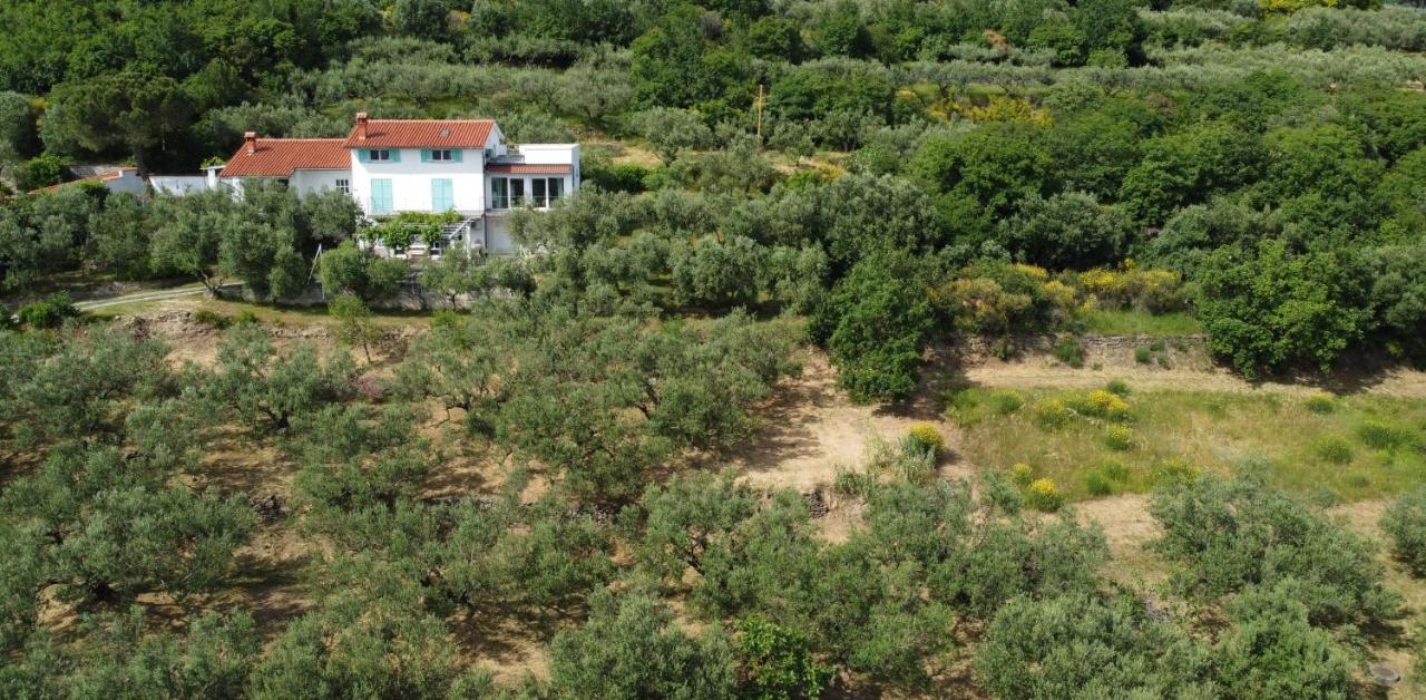 안카란 House Among Olive Trees With A Sea View 1 아파트 외부 사진