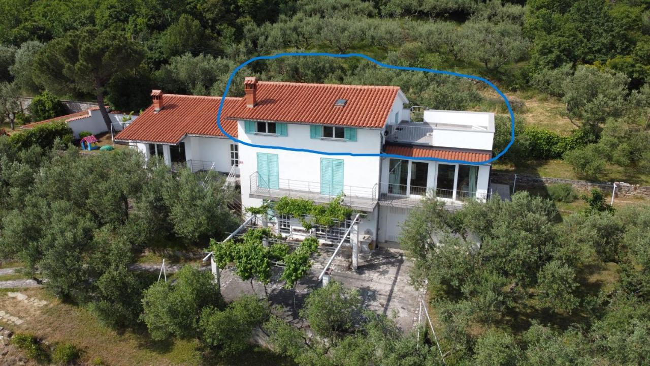 안카란 House Among Olive Trees With A Sea View 1 아파트 외부 사진