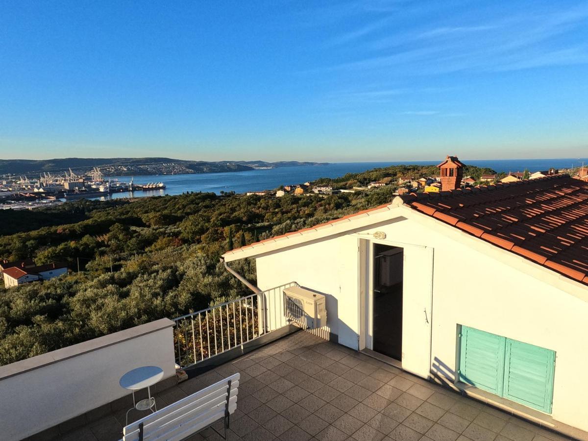 안카란 House Among Olive Trees With A Sea View 1 아파트 외부 사진