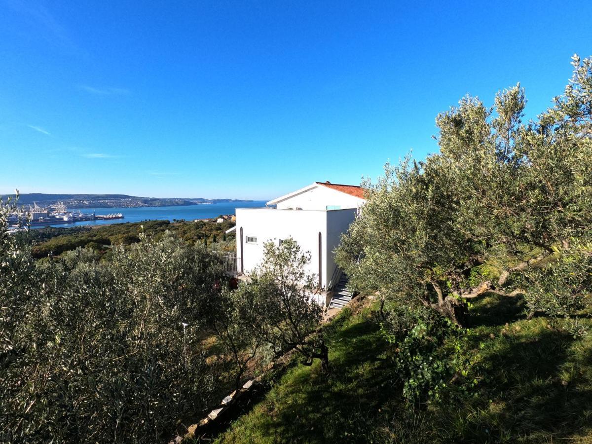 안카란 House Among Olive Trees With A Sea View 1 아파트 외부 사진